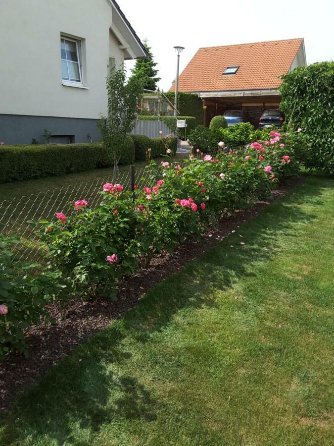 Ferienwohnung Schubert Sagard Dış mekan fotoğraf